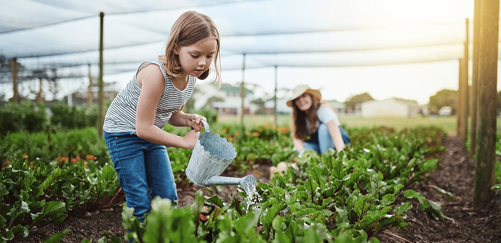 Empower Your Community Sustainably