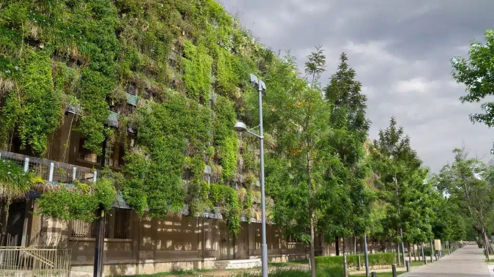 Urban Planning for Climate Resilience