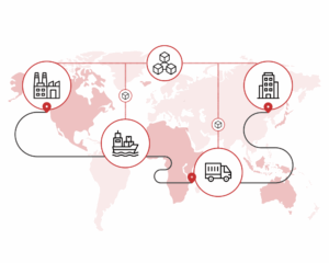 Blockchain: Transforming Sustainable Supply Chains