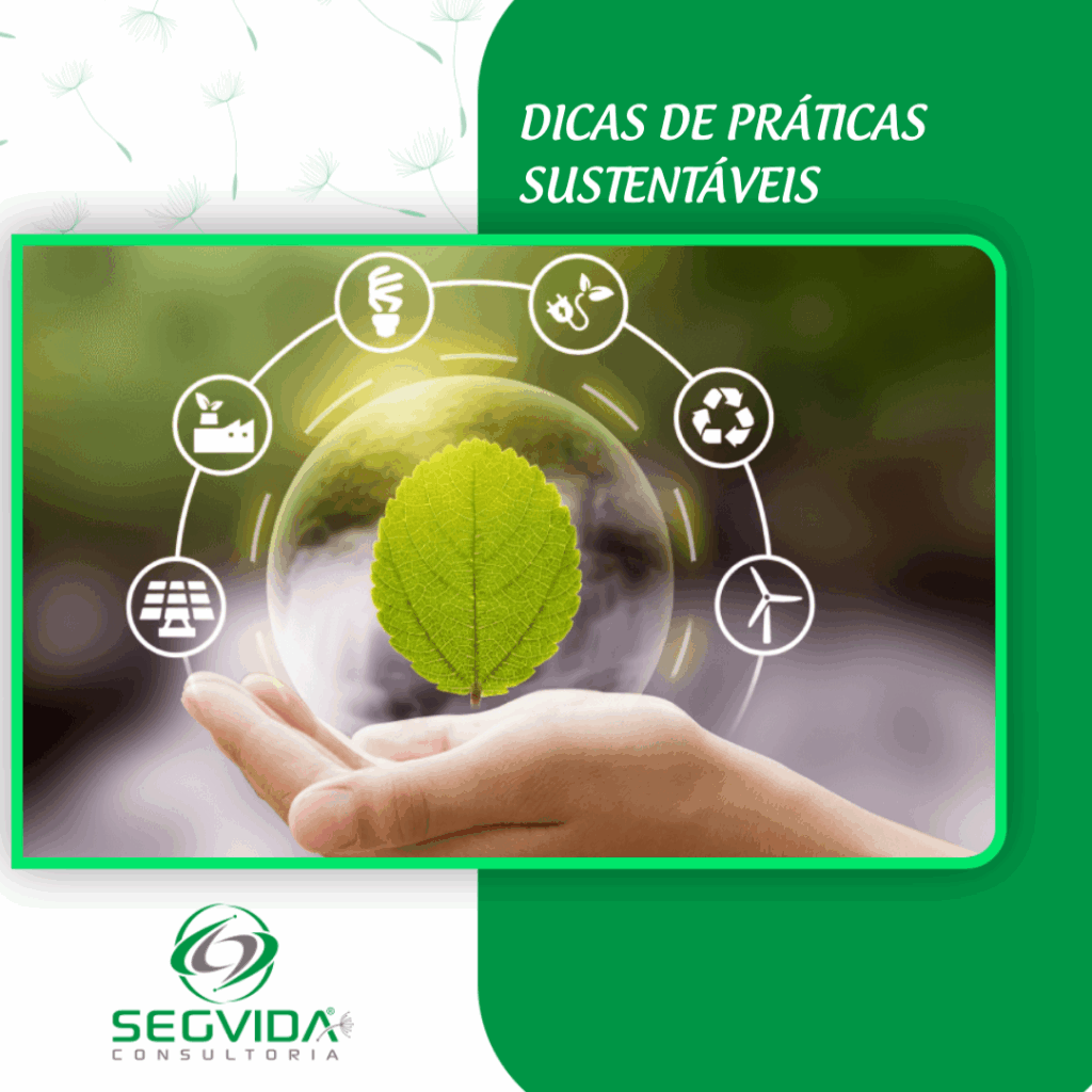 Affordable Green Living Solutions