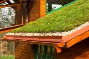 Urban Greening: Roofs and Gardens