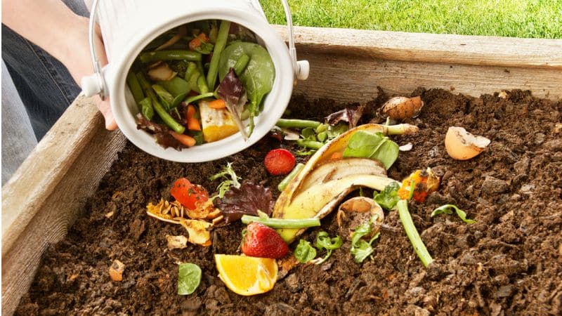 Mastering Compost: Reduce Food Waste