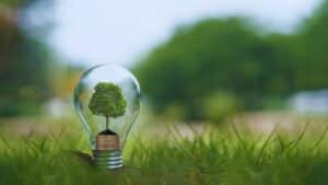 Corporate Giants Fueling Renewable Future