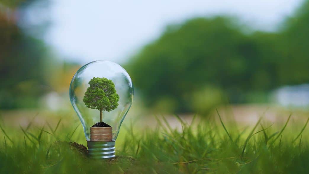 Corporate Giants Fueling Renewable Future