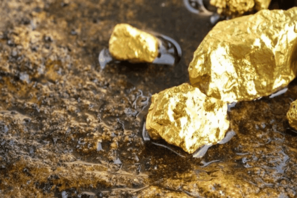 Green Investments: Economic Goldmine