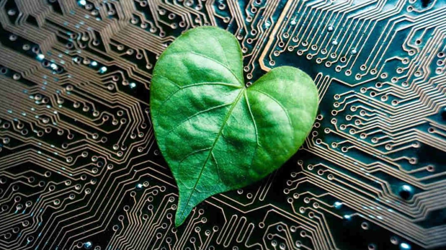 Master Personal Sustainability with Green Tech