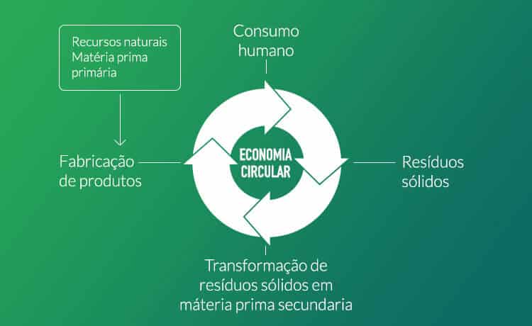 Circular Consumer Education Unleashed