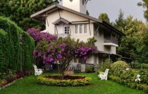 AI-Powered App for Garden Planning and Design