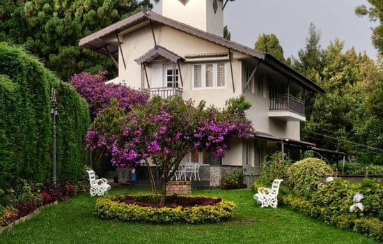 AI-Powered App for Garden Planning and Design