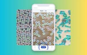 Object Counting App Enhances Image Analysis Efficiency