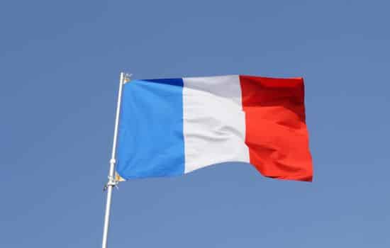 Learn French Easily with New App