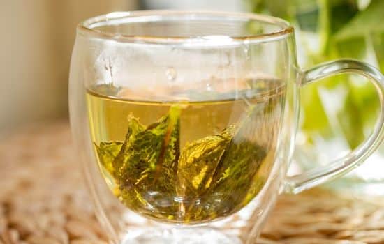 Herbal Health App: Medicinal Tea Benefits