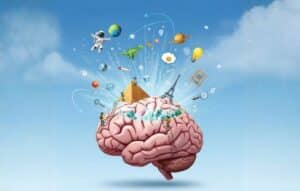 Discover Fun Facts with Our Curiosity App