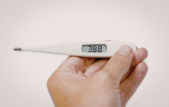 Thermometer App: Accurate Temperature Readings Anytime