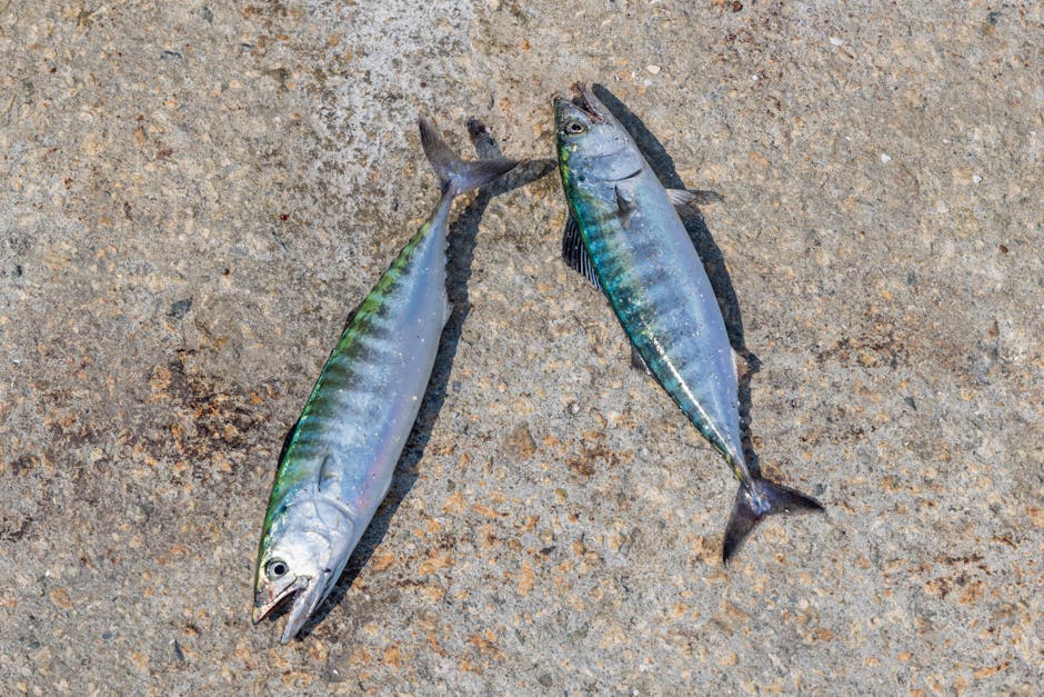 Fishing Spots Finder App: Locate Your Next Catch